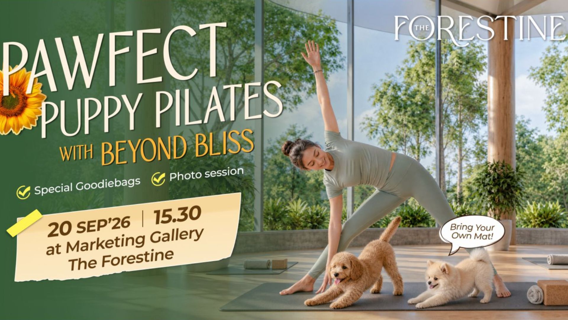 Pawfect Puppy Pilates the forestine